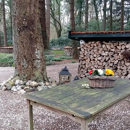 Oase Op De Veluwe Garderen